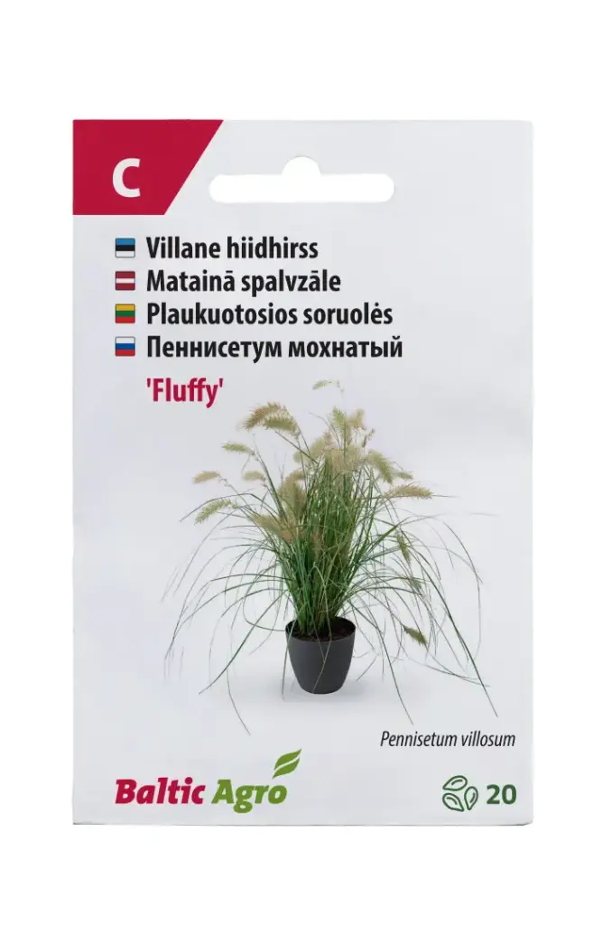 Hiidhirss 'Fluffy'