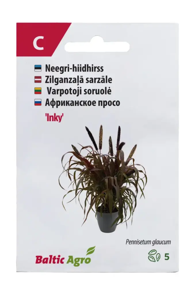 Hiidhirss 'Inky'