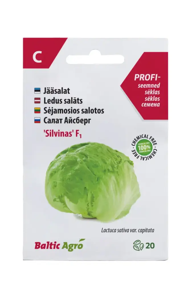 Jääsalat 'Silvinas' F1, 20pilli