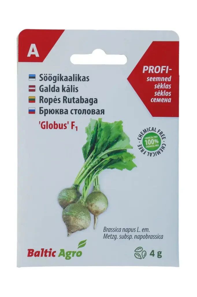 Kaalikas 'Globus' kollase sisuga, säilitamiseks, 4g