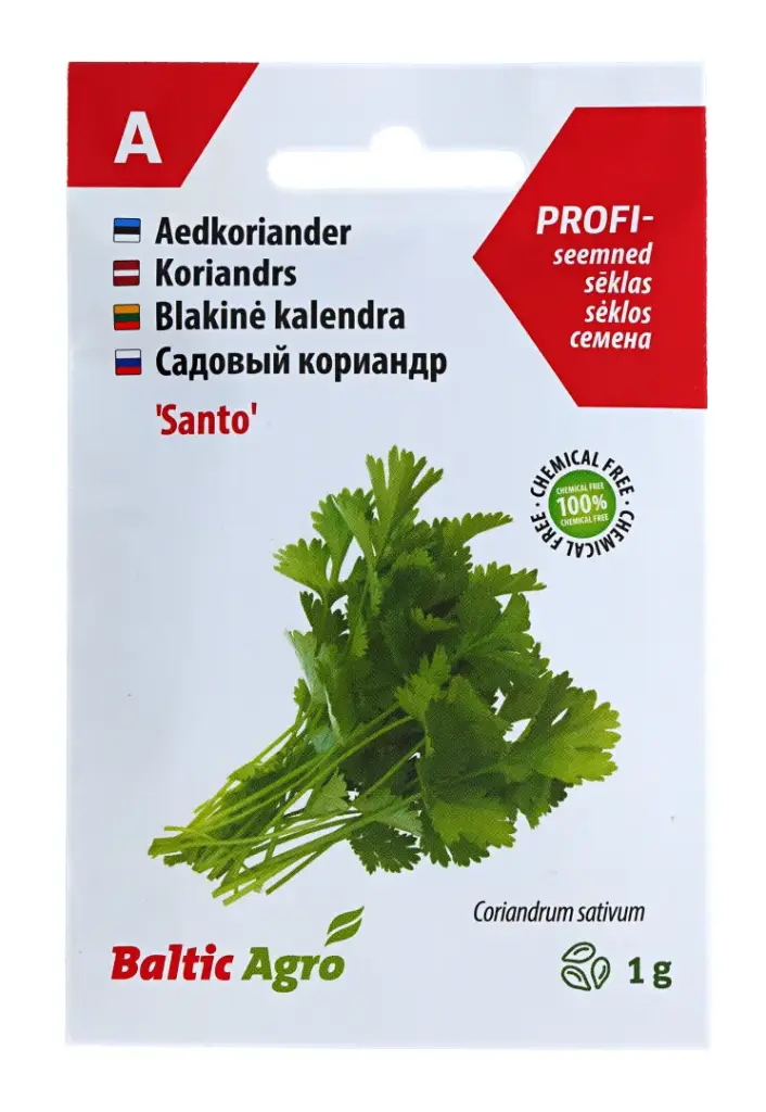 Koriander Santo 1g 