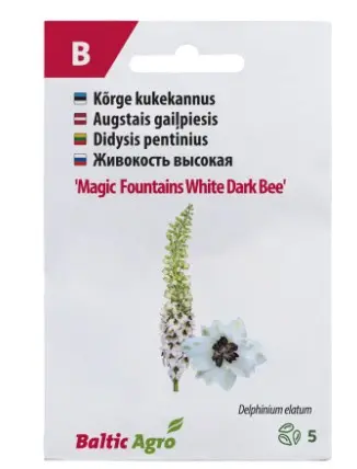 Kukekannus 'Magic Fountains White Dark Bee'