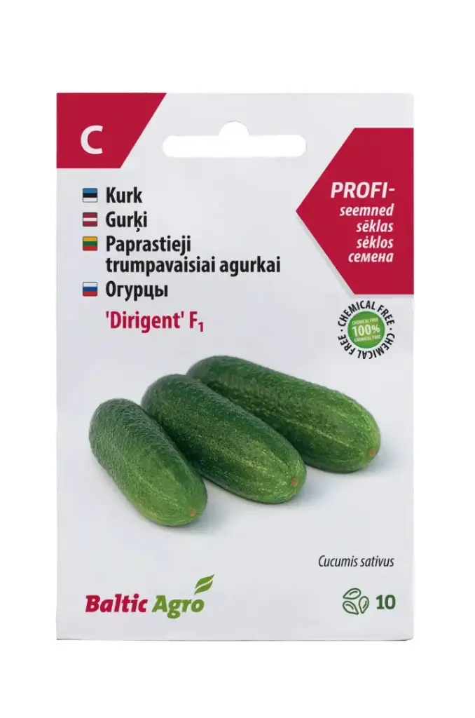 Kurk 'Dirigent' F1, 10s