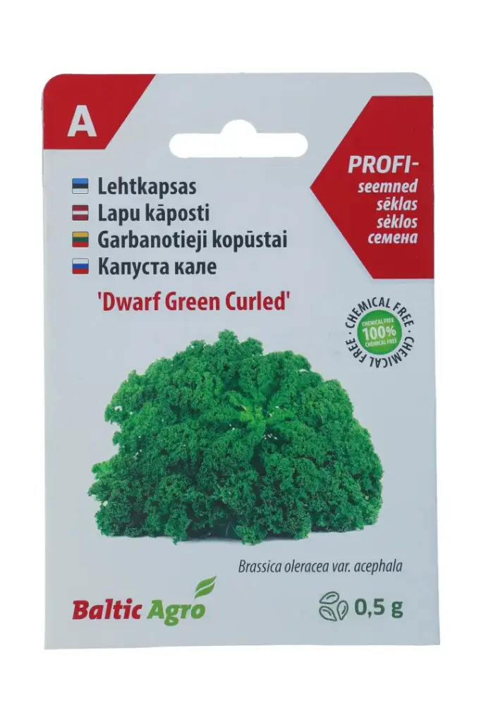 Lehtkapsas `Dwarf Green Curled`, 0,5g