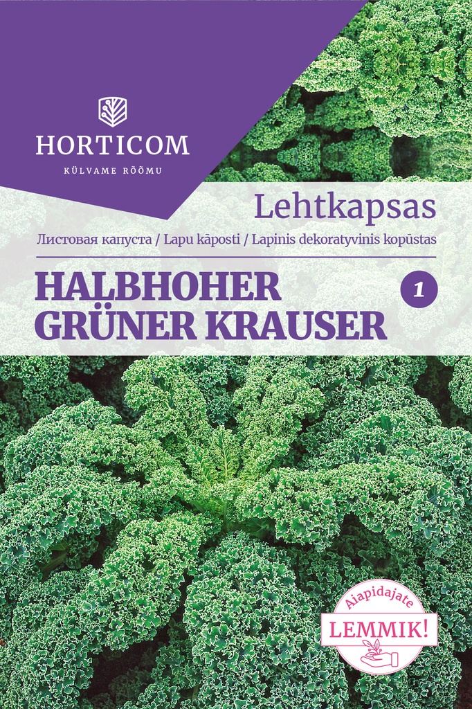 Lehtkapsas Halbhoher Grüner Krauser 50s