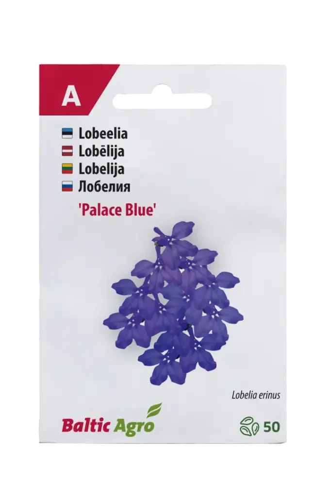 Lobeelia 'Blue Palace' 50 pilli