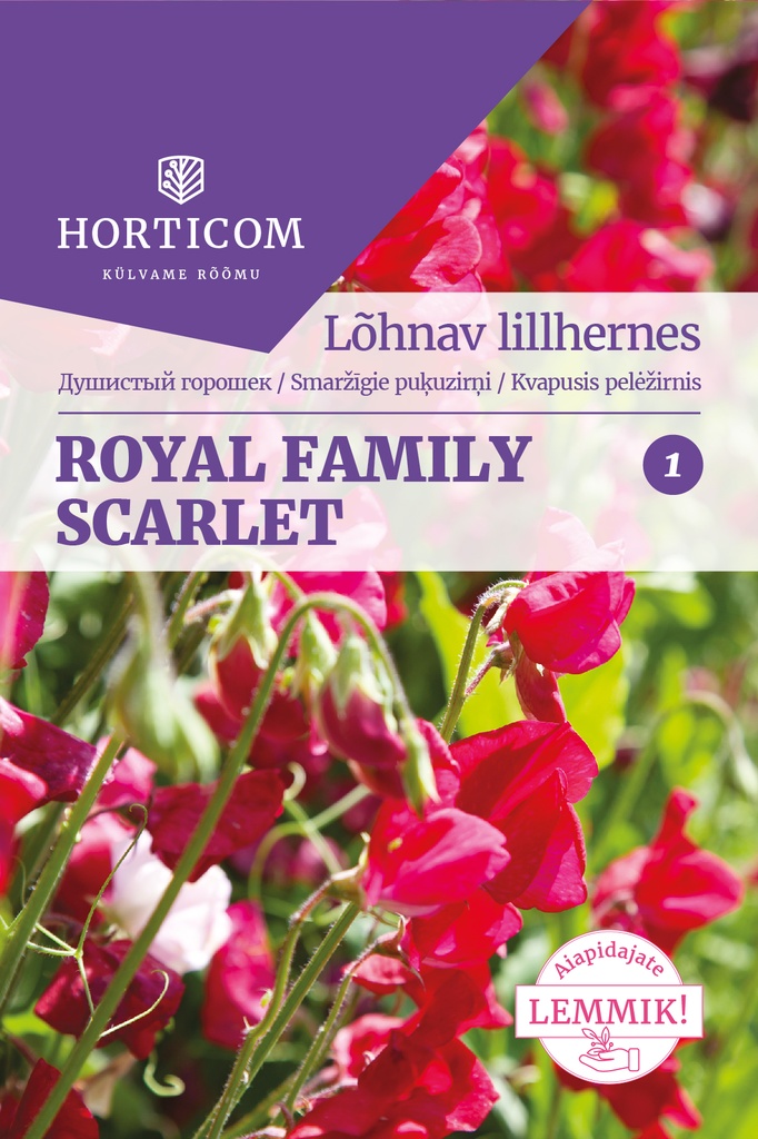 Lõhnav lillhernes Royal Family Scarlet 5g