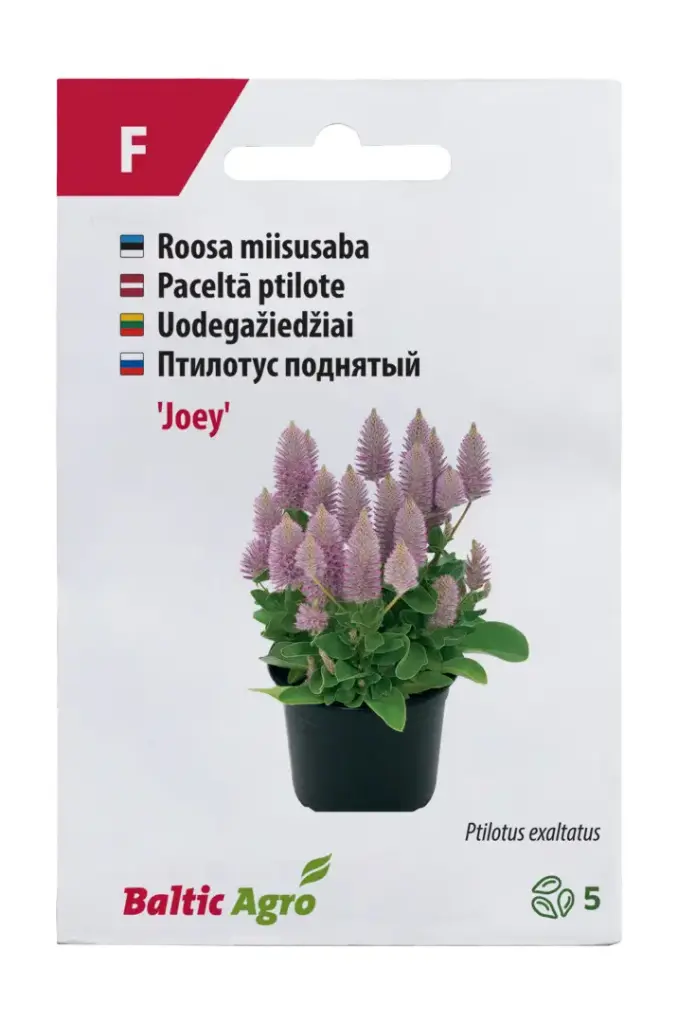 Miisusaba 'Joey'® 