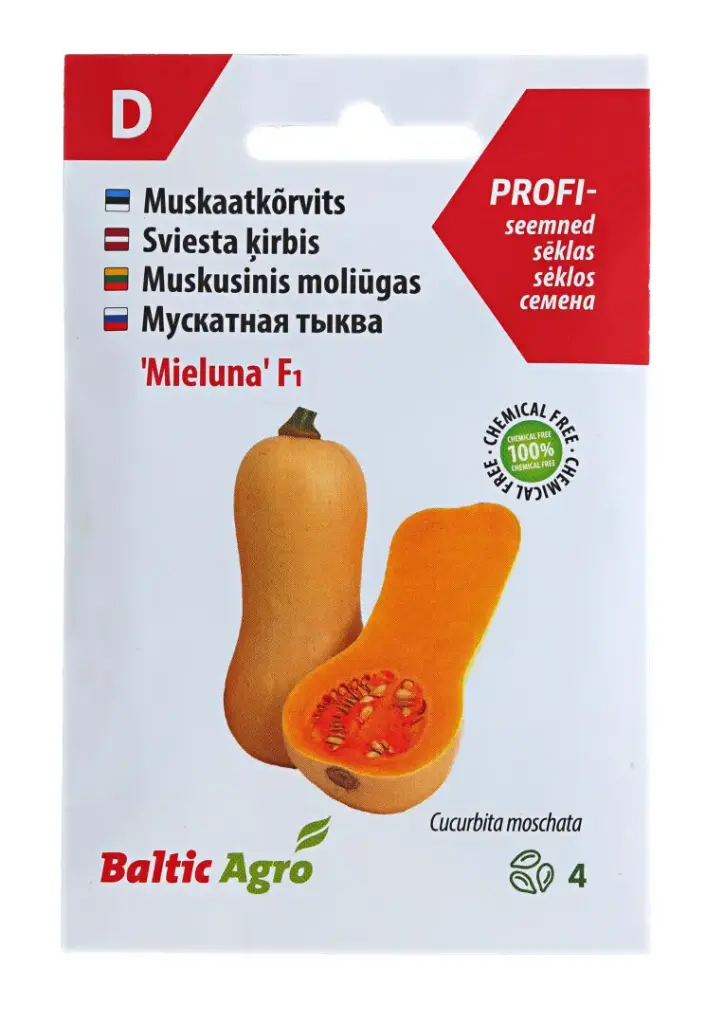 Muskaatkõrvits  'Mieluna' F1 keegelkõrvits 4s 