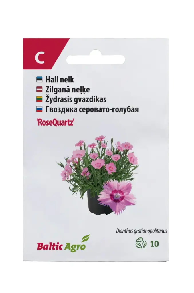 Nelk 'RoseQuartz'