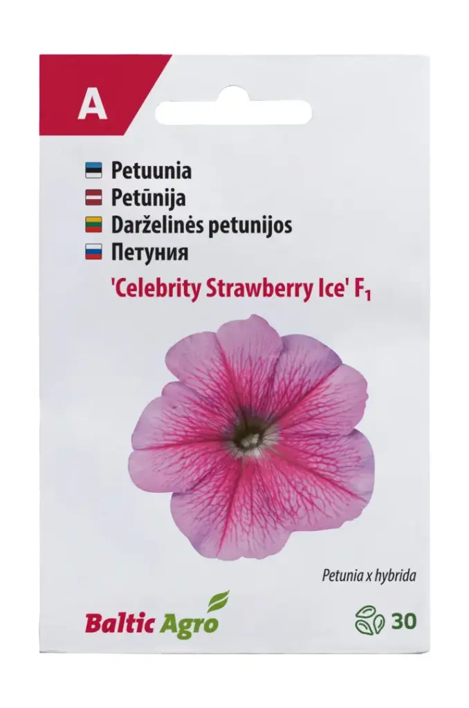 Petuunia 'Celebrity Strawberry Ice'