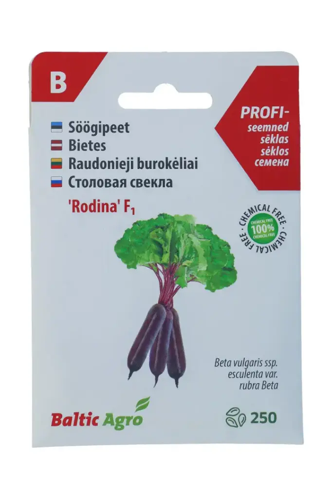 Piklik punapeet 'Rodina'  F1, 250s