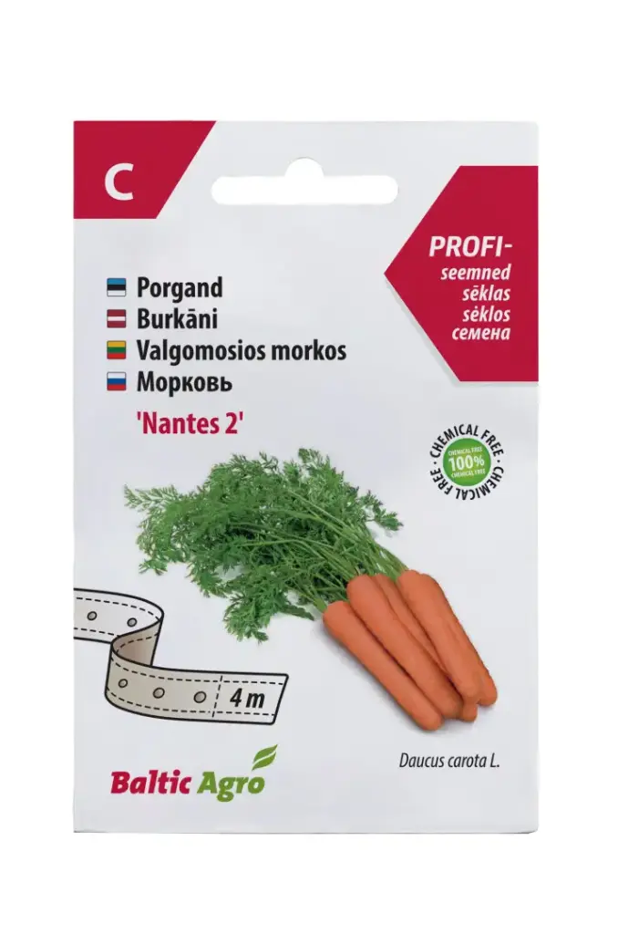 Porgand 'Nantes 2' seemnelindil 4m 