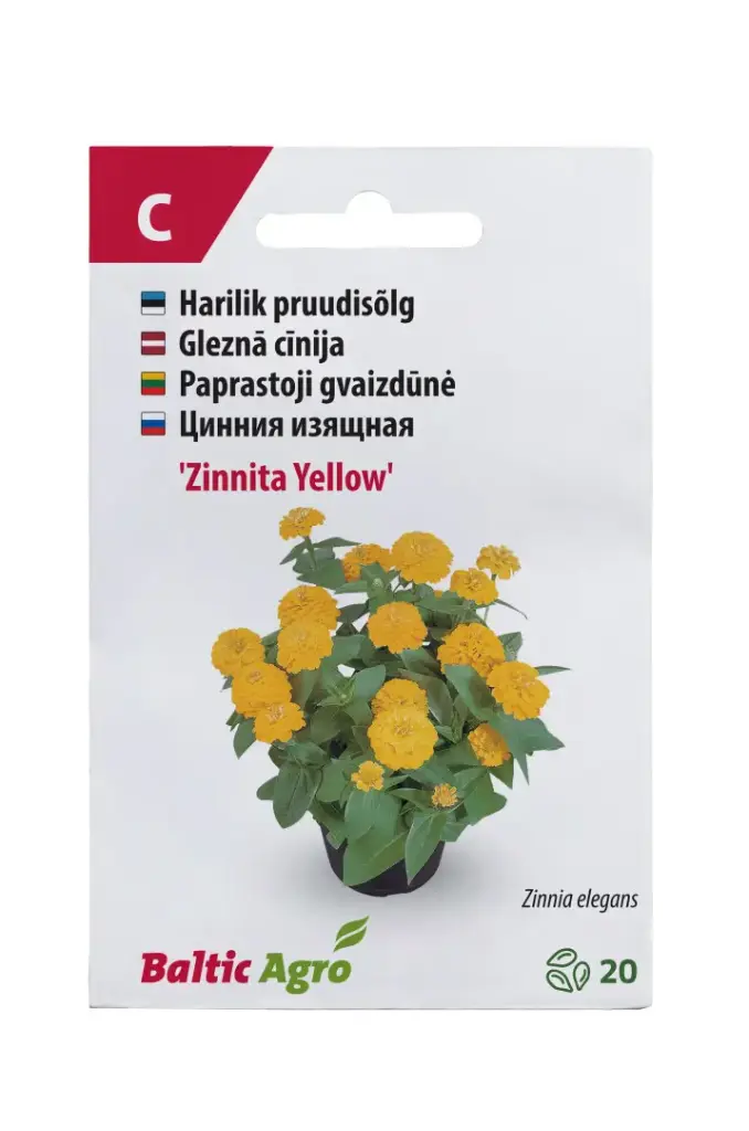 Pruudisõlg 'Zinnita Yellow' 20s