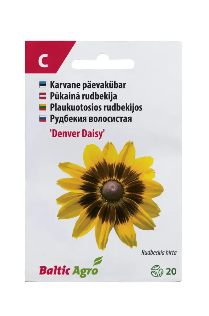 Päevakübar 'Denver Daisy'