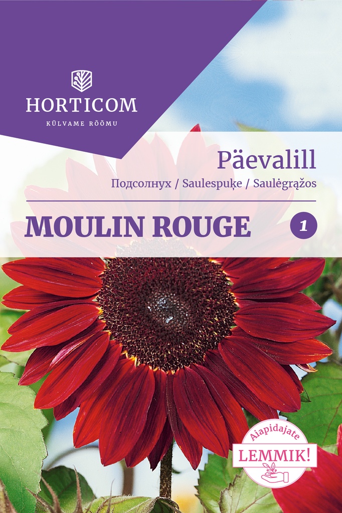 Päevalill Moulin Rouge 1g