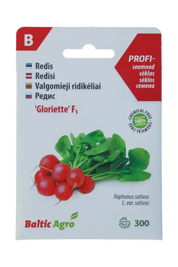 Redis 'Gloriette' F1 suur kerajas, 300s