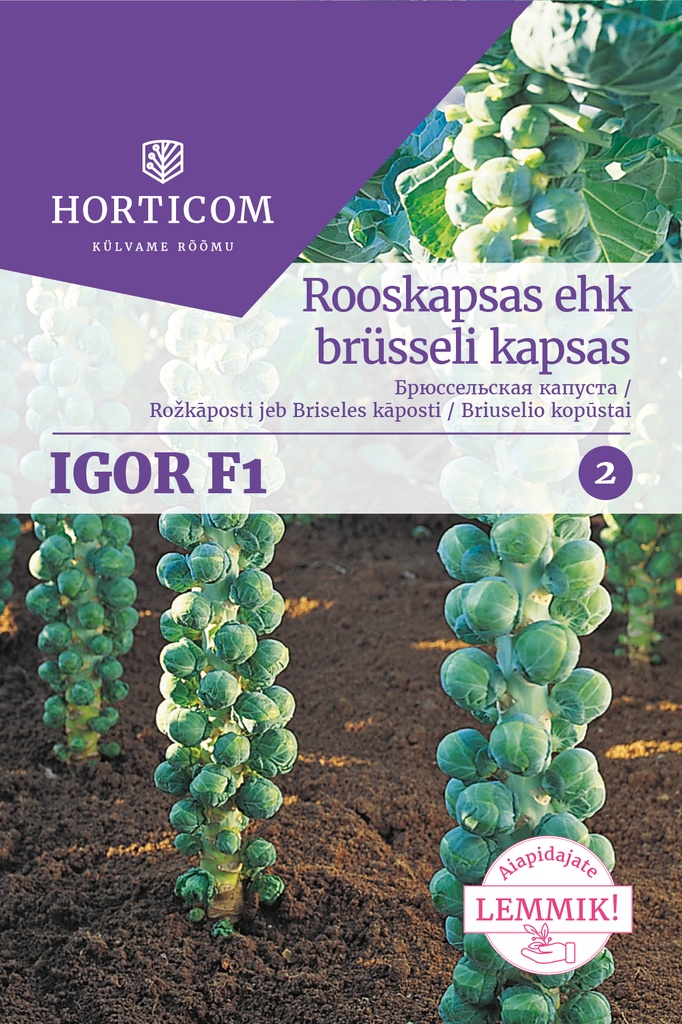 Rooskapsas ehk brüsseli kapsas Igor F1 50s