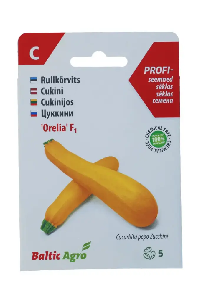 Rullkõrvits 'Orelia', säravkollase koorega, 5s
