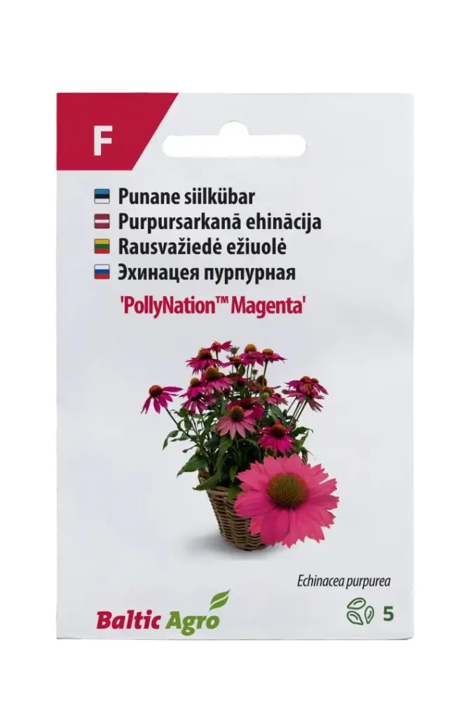 Siilkübar 'PollyNation™ Magenta'