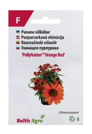 Siilkübar 'PollyNation™ Orange Red'