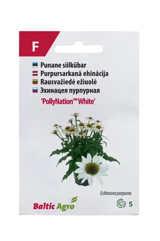 Siilkübar 'PollyNation™ White'