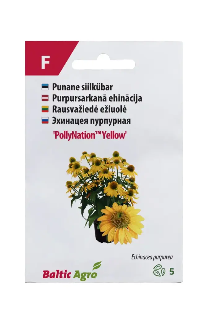 Siilkübar 'PollyNation™ Yellow '