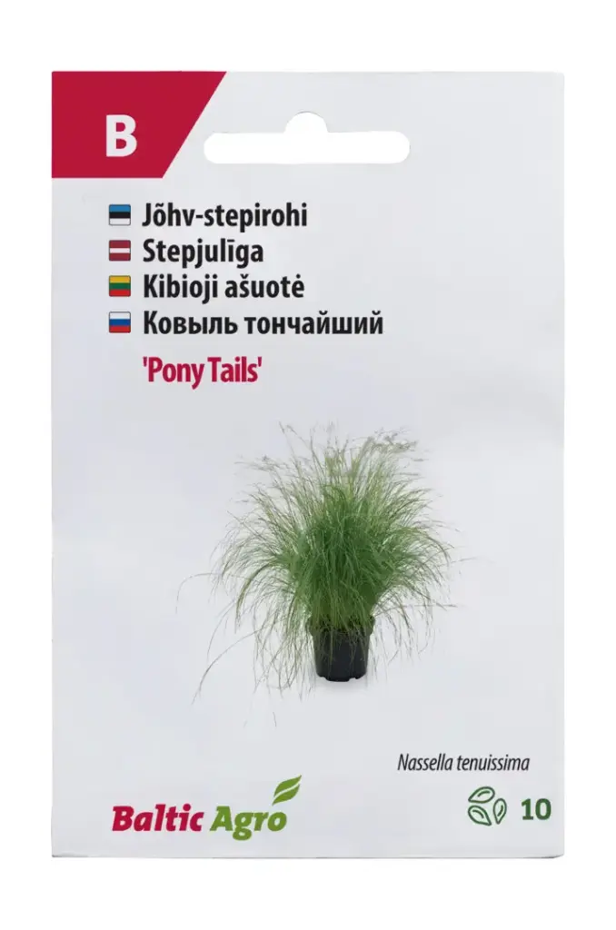 Stepirohi 'Pony Tails'
