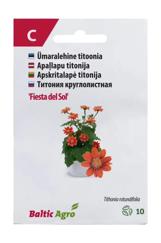 Titoonia  'Fiesta del Sol'