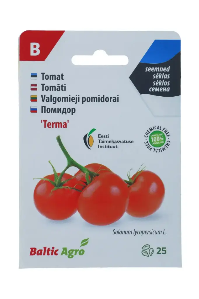 Tomat 'Terma' 25s