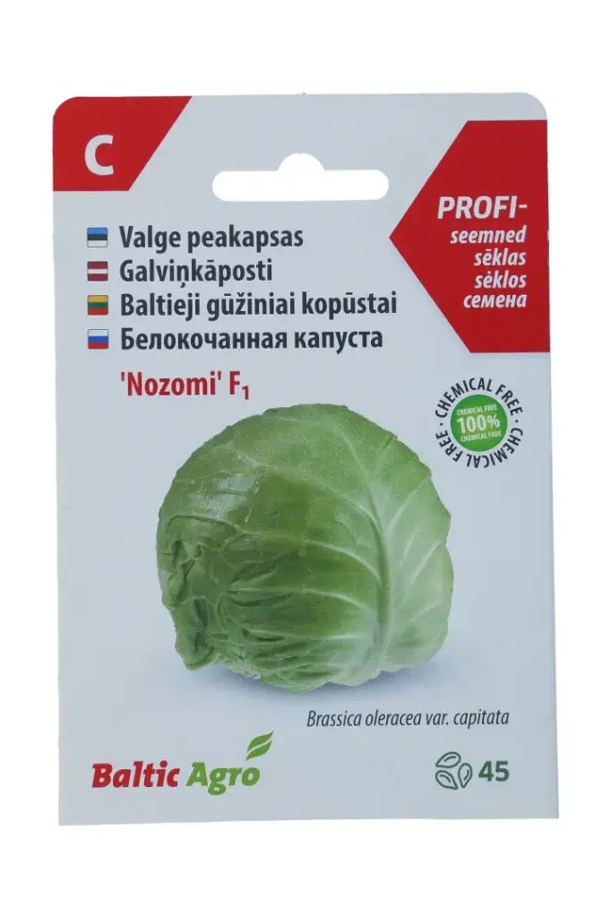 Varajane valge peakapsas 'Nozomi', 45s