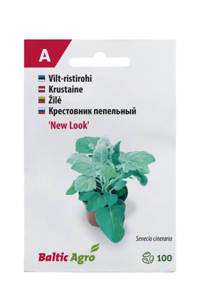 Vilt-ristirohi 'New Look' 100 pilli