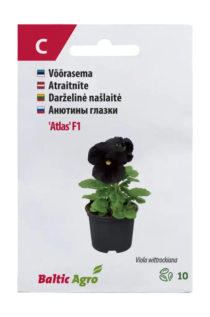 Võõrasema  'Atlas' F1