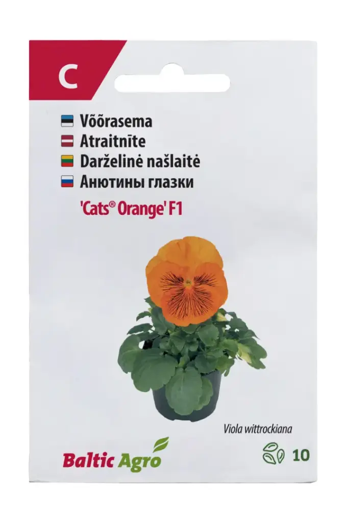 Võõrasema  'Cats® Orange' F1
