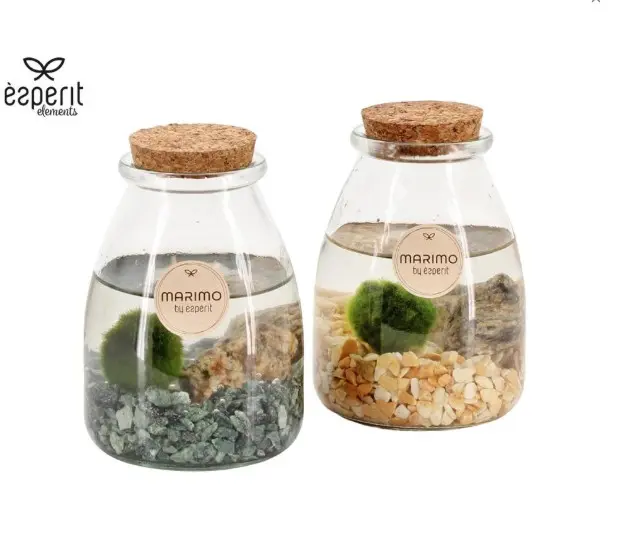 Taimepurk seade Marimo vetikapall P10/20cm
