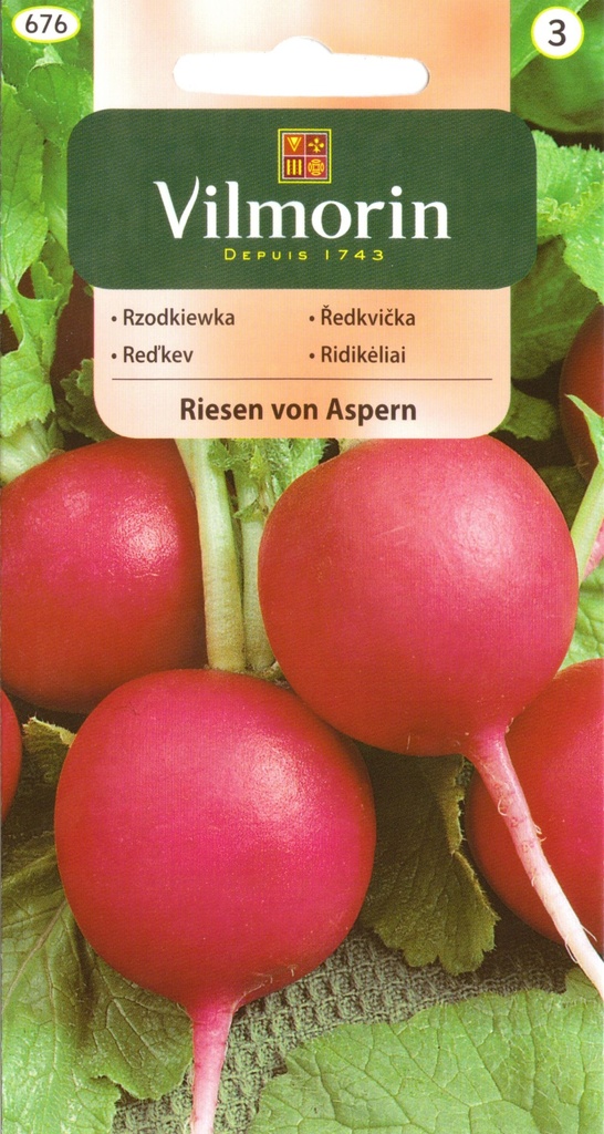 Redis Riesen von Aspen 