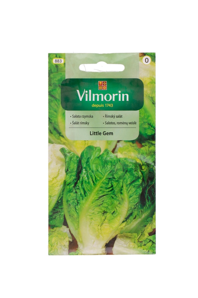 Salat Little Gem