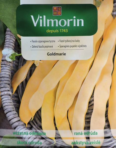 Aeduba kollane GOLDMARIE 