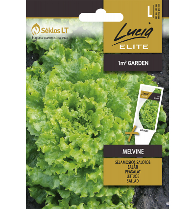 Aedsalat Melvine 25s
