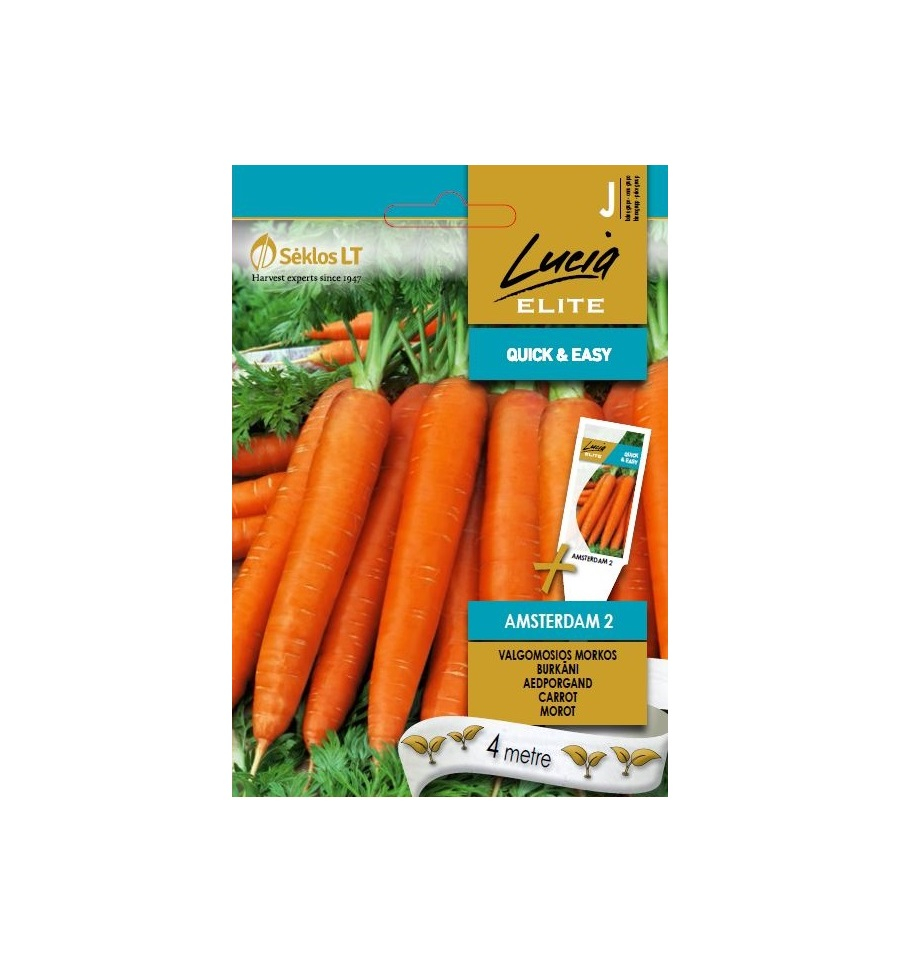 Porgand Amsterdam 2 seemnelint 4m