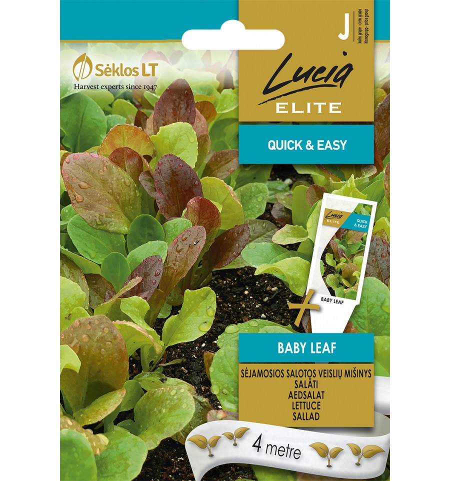 Aedsalat Baby Leaf seemnelint 4m