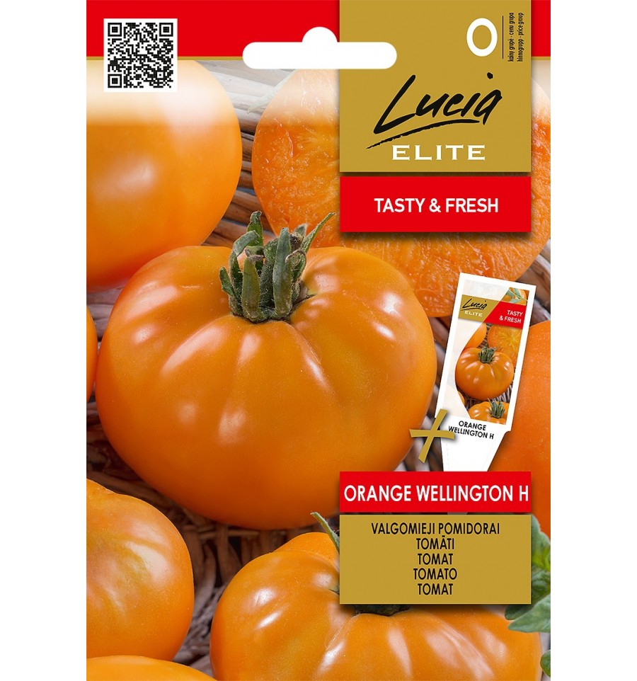 Tomat Orange Wellington H 15s