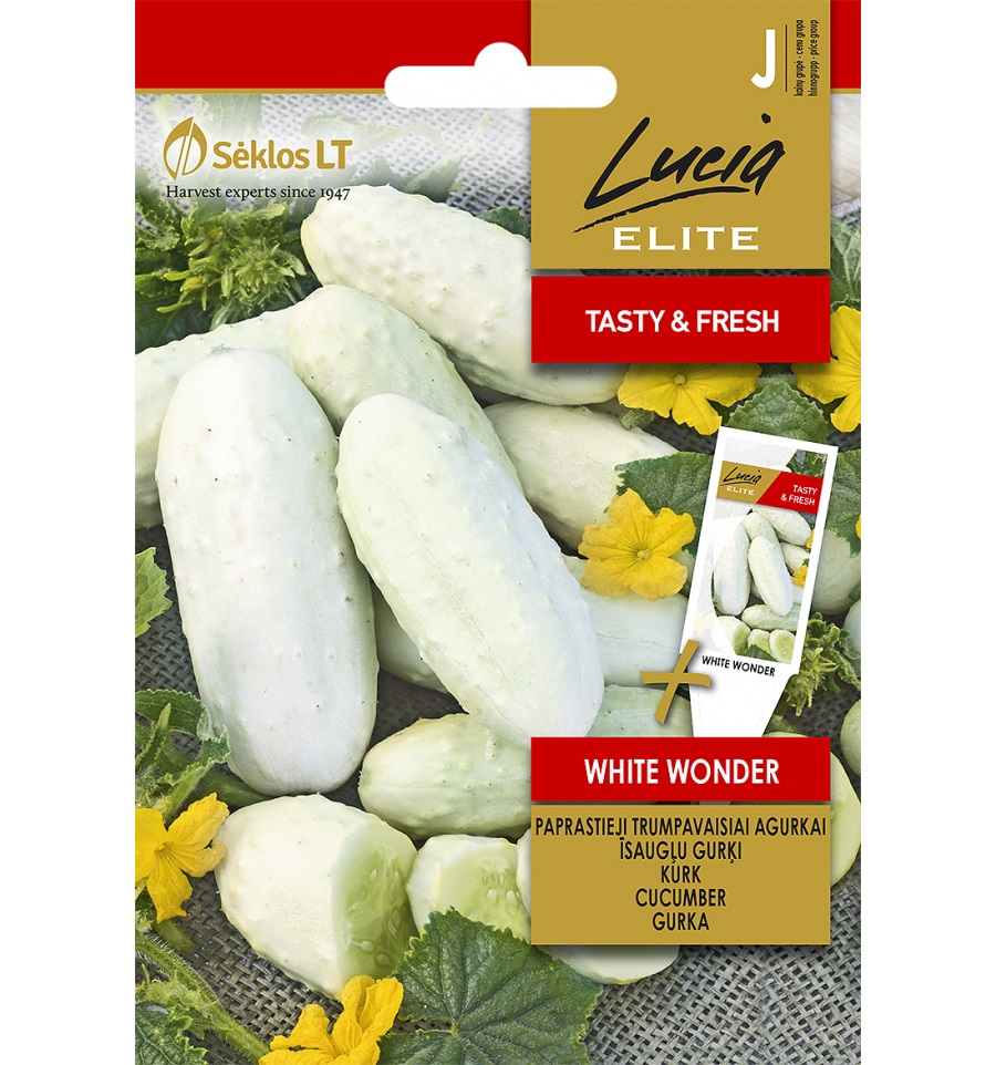 Kurk White Wonder 2g