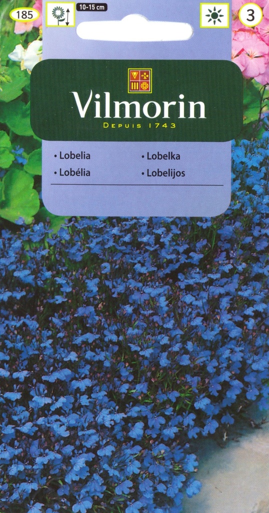 Lobeelia Blue Carpet 