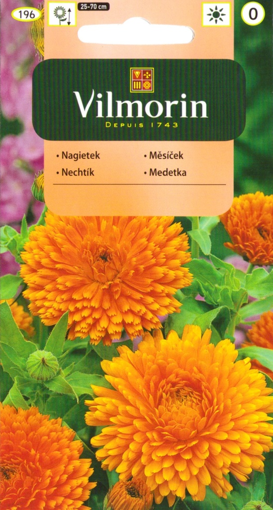 Harilik saialill oranž