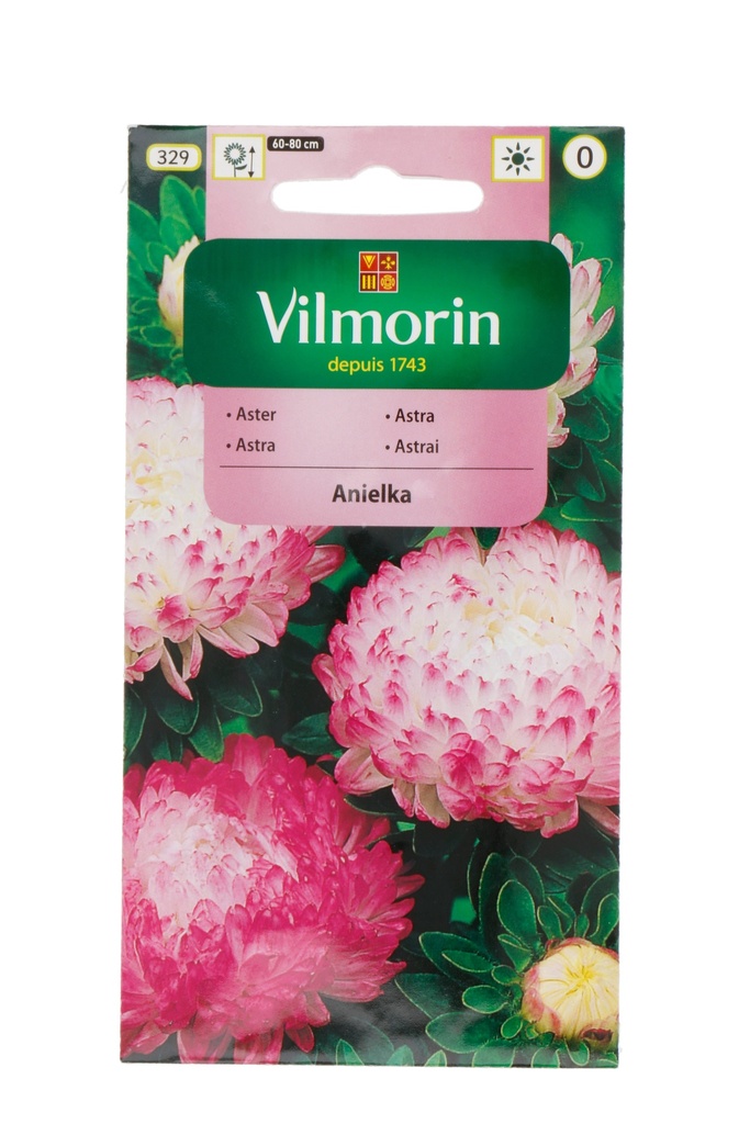 Hiina aedaster Anielka printsess 