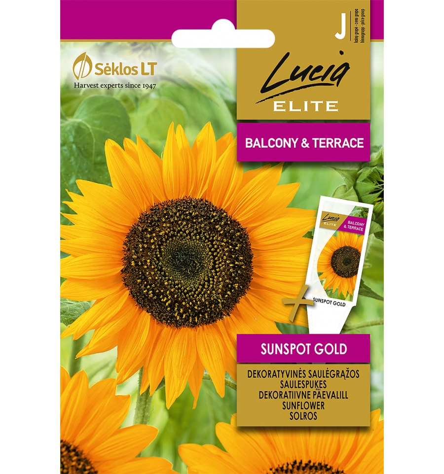 Päevalill Sunspot Gold 2g