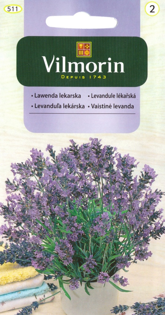Lavendel 