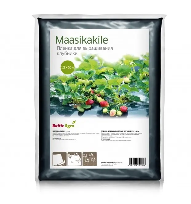 Maasikakile1,2x10m, must