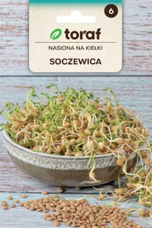 Harilik lääts idandamiseks 20g